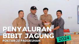 PENYALURAN BIBIT JAGUNG PADA POKTAN KALURAHAN CANDIREJO KAPANEWON SEMANU